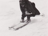 1991_Jubi_31
