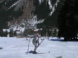 DSCN3164