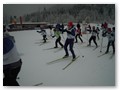 DSCN3981